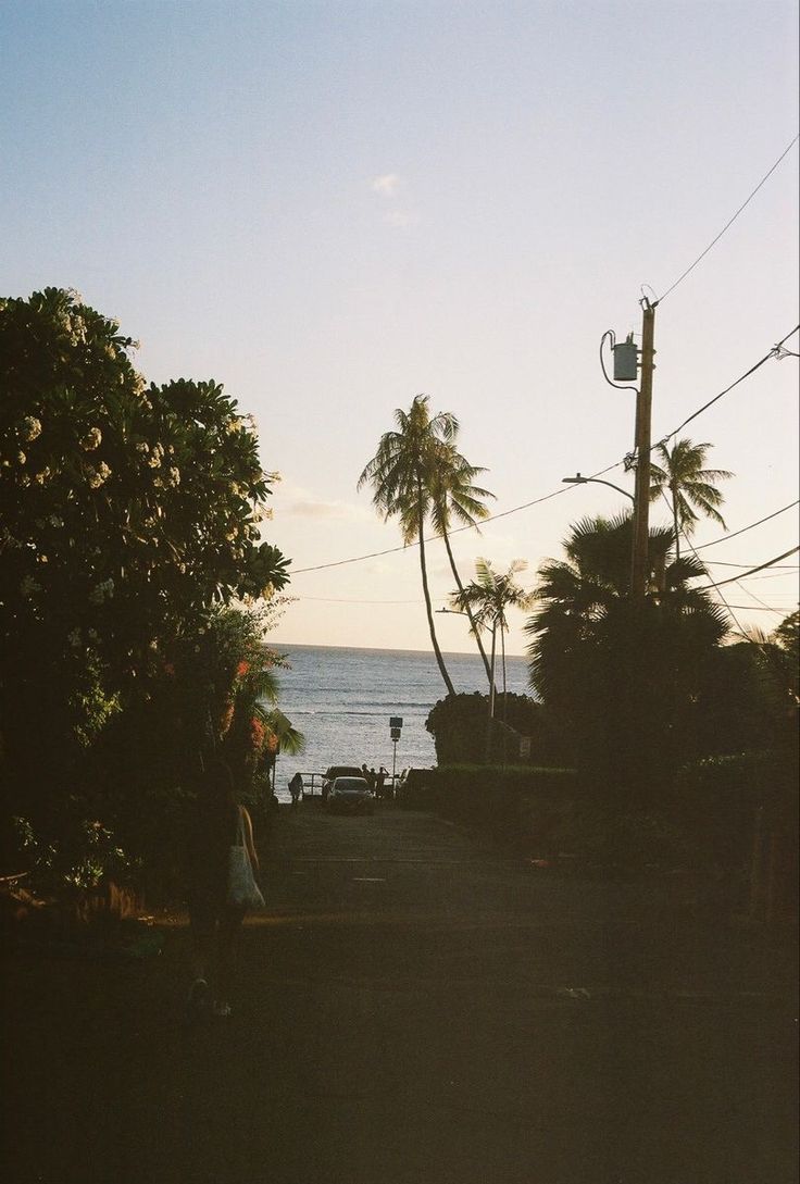 a person walking down a path next to the ocean with palm trees on both sides