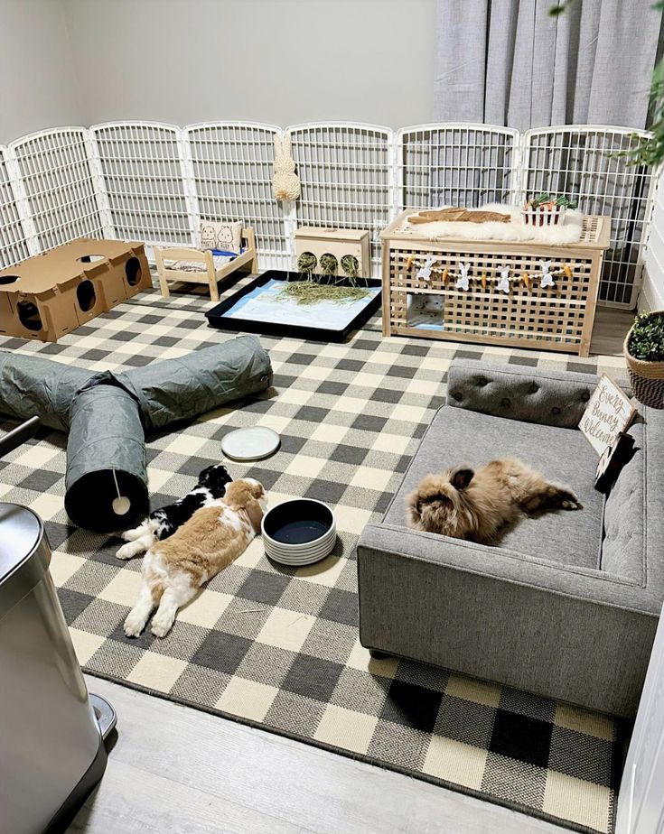 there are many dogs laying on the floor next to their kennels and food bowls