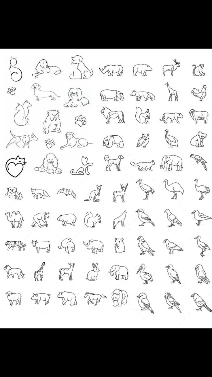 an image of various animals drawn in black and white