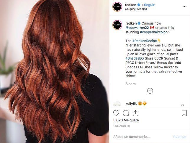 Red Hair Formulas, Copper Hair Dark, Beer For Hair, Red Copper Hair Color, Sunset Hair, Copper Red Hair, Redken Hair Color, Color Formulas, Redken Hair Products