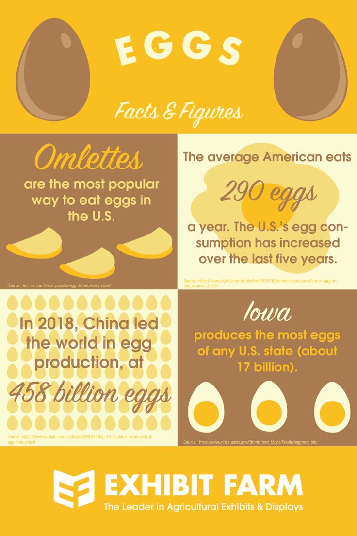 an egg info sheet with eggs on it