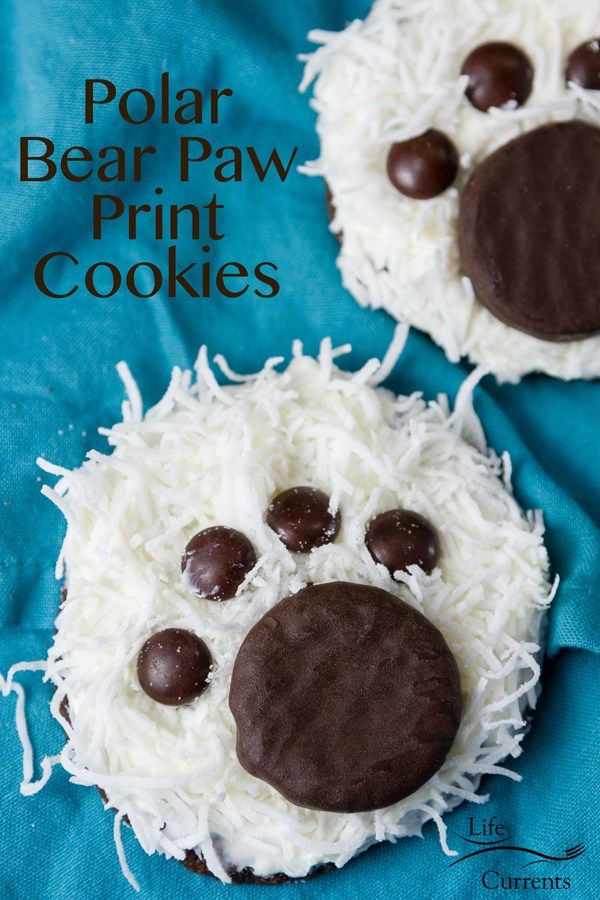 two polar bear paw print cookies with white frosting and chocolate chips on blue background