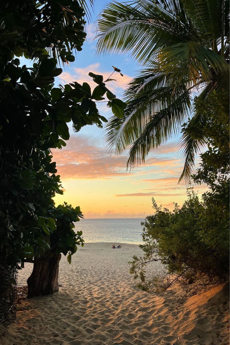 the sun is setting on the beach with palm trees