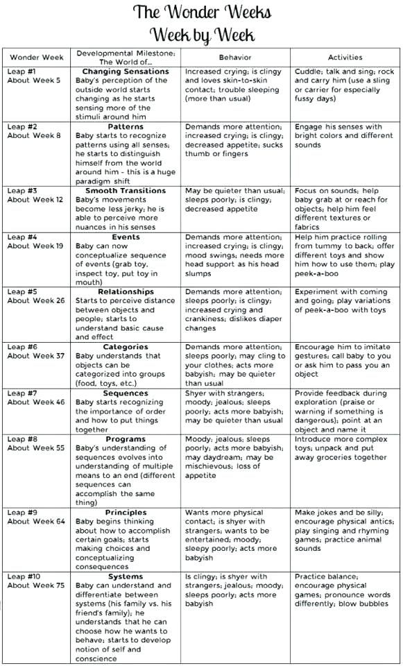 the week by week chart for students to use in their writing and reading skills, including