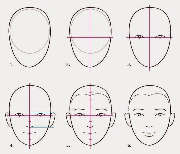 how to draw the face with different angles and lines for each part of the head