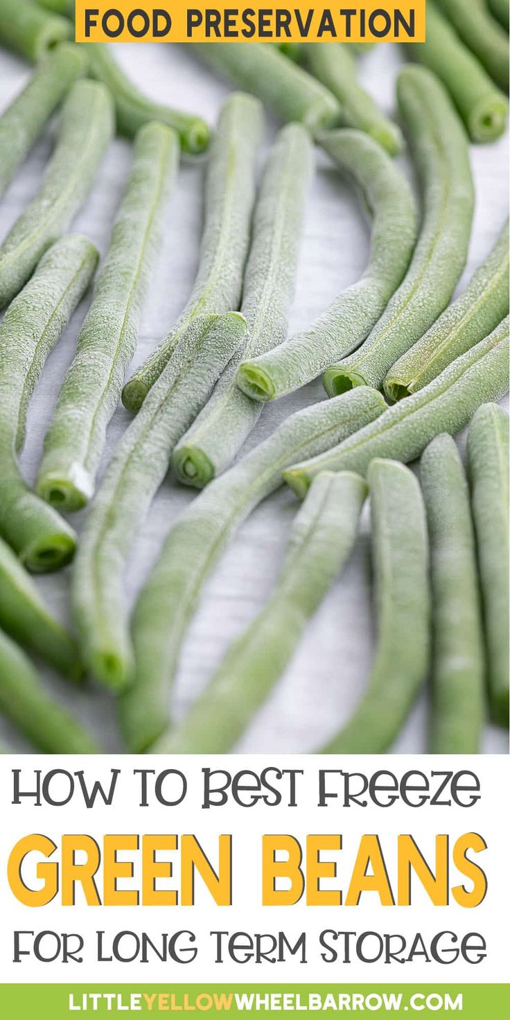 green beans on a table with the title how to best freeze green beans for long term storage