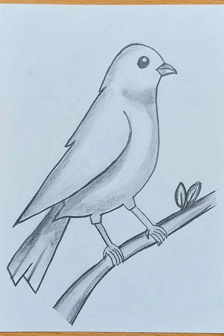 a drawing of a bird sitting on a branch