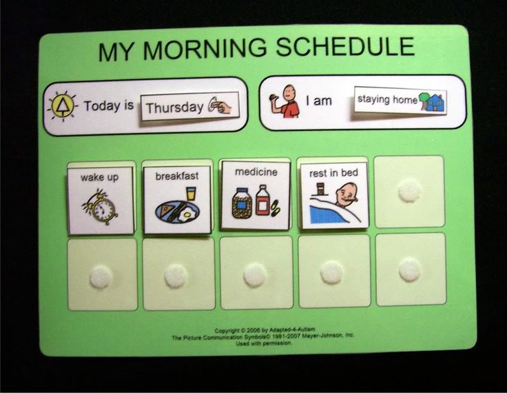 a green and white sign that says my morning schedule with pictures of things on it