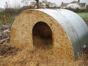 a large metal barrel sitting in the middle of a field filled with dry grass and straw