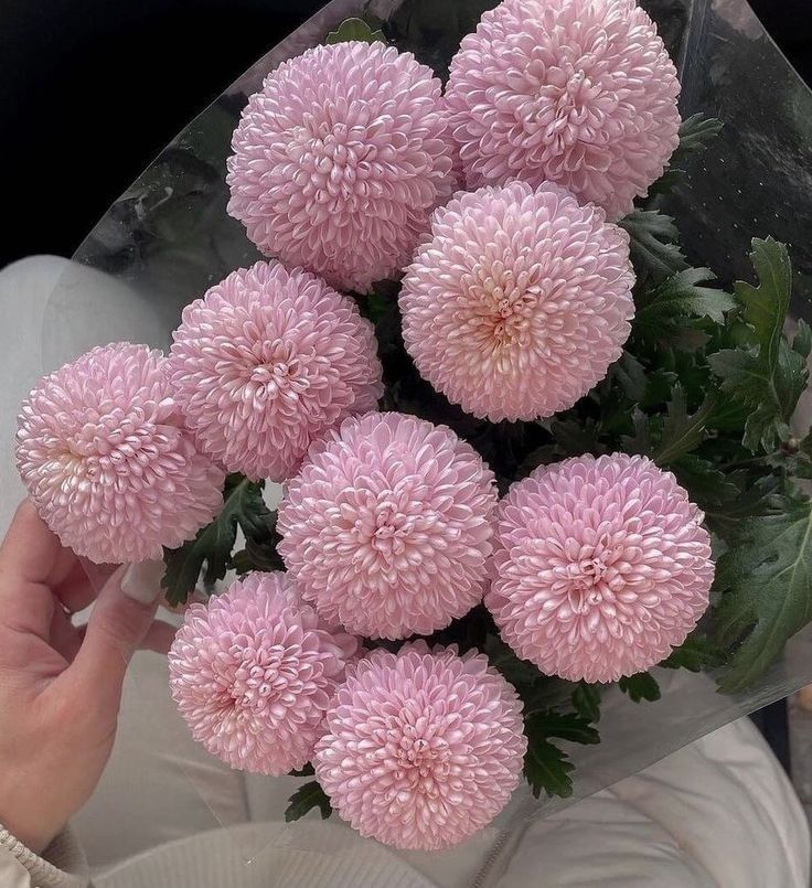 a bunch of pink flowers sitting on top of a glass vase filled with green leaves