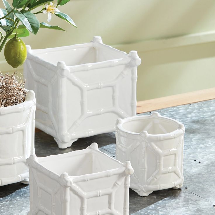 three white planters sitting on top of a table next to a potted plant