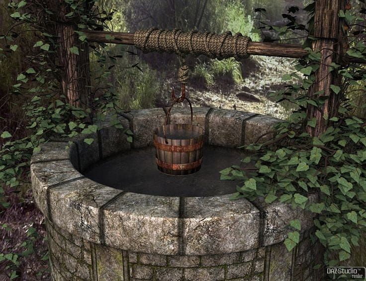 there is a bucket sitting on top of a stone wall in the woods with ivy growing around it