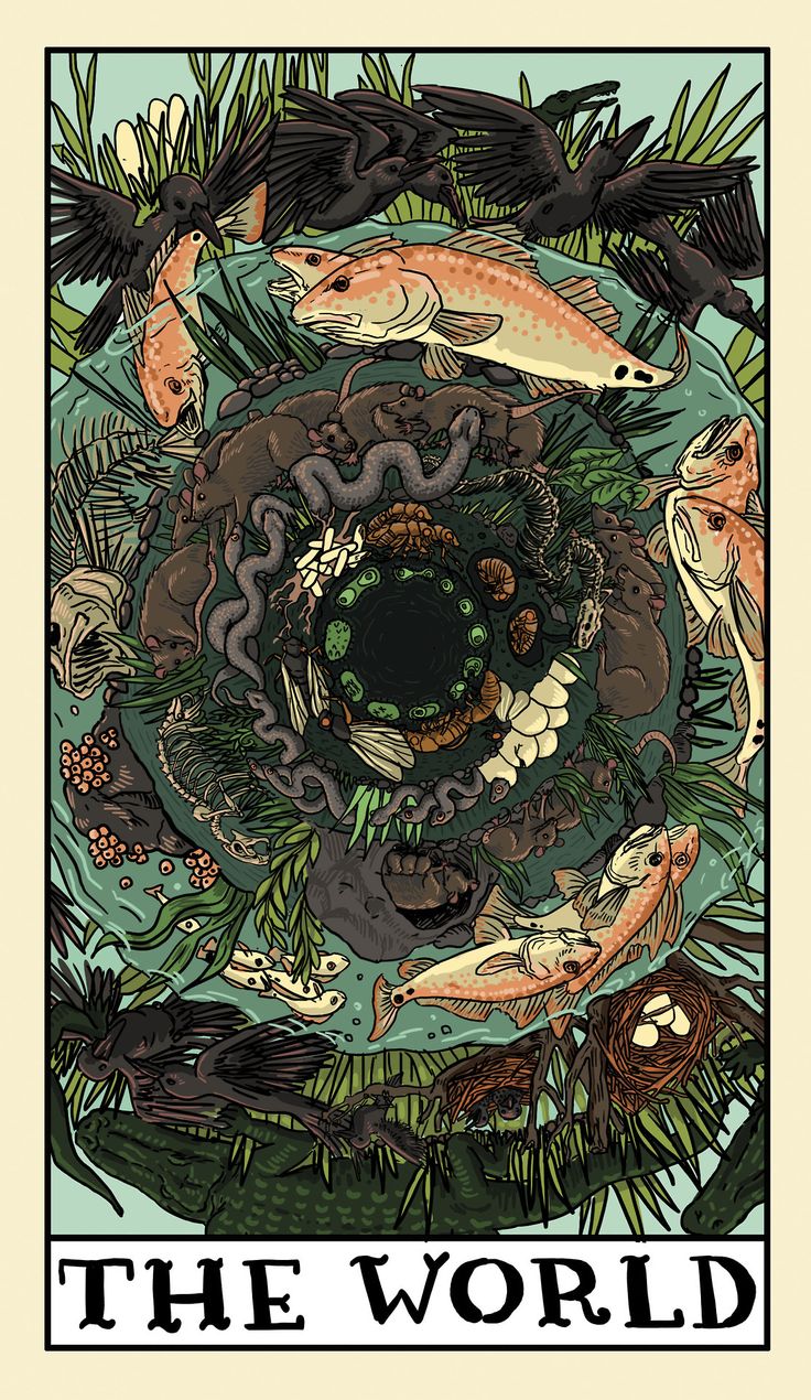 a poster with fish and plants on it