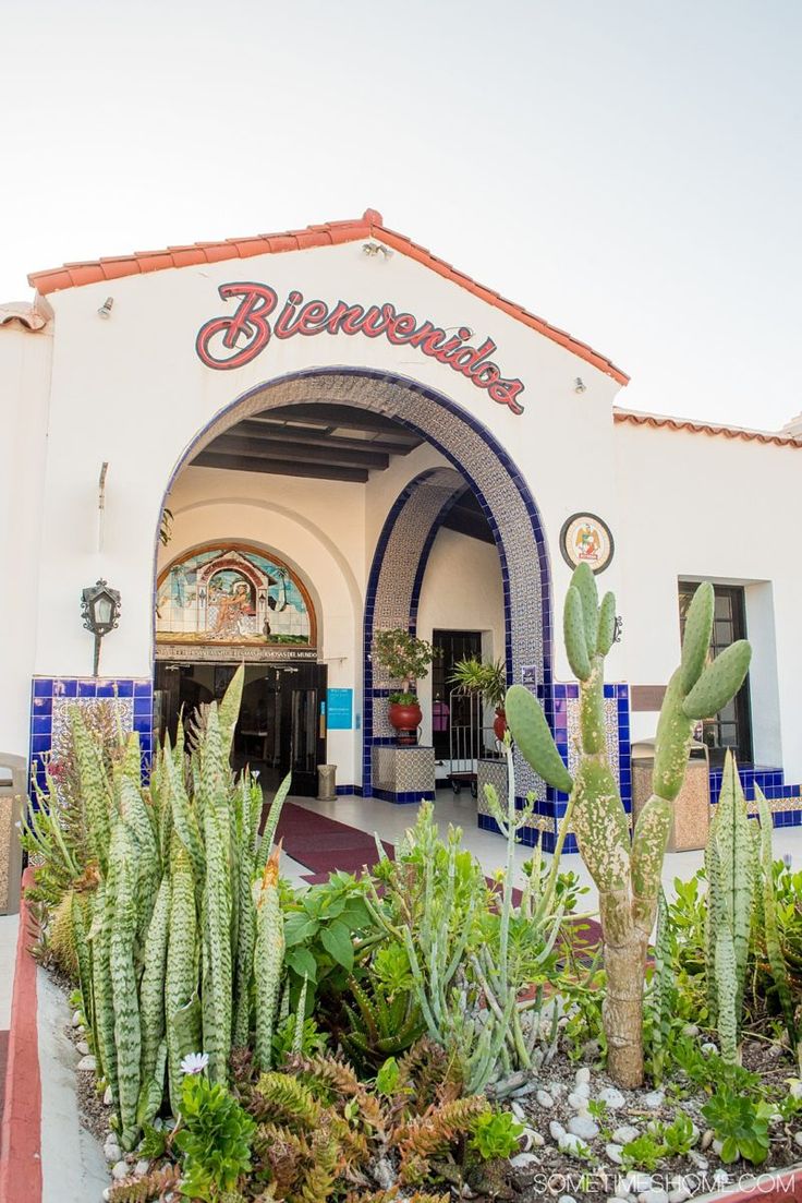 the front entrance to a restaurant with cactus and succulents