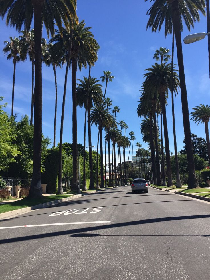 a car is driving down the street between palm trees