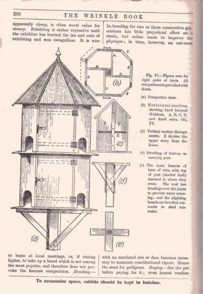 an old book with instructions on how to build a birdhouse and other things in it