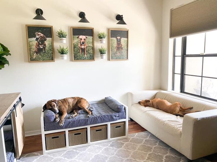 two dogs laying on top of a dog bed in a living room next to a window