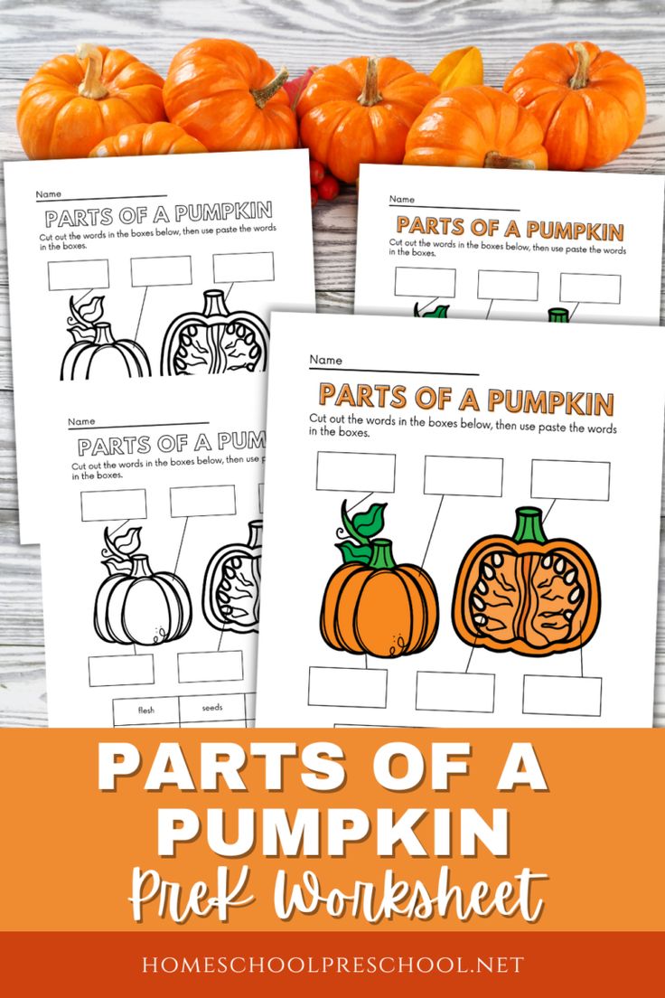 parts of a pumpkin worksheet for preschool and homeschool students to learn