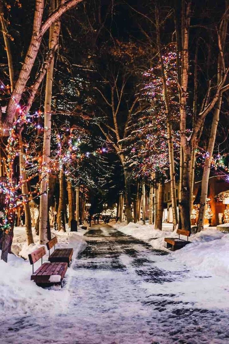 a park bench sitting in the middle of a snow covered road with christmas lights on it