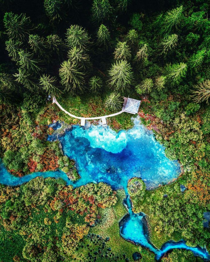 an aerial view of blue water surrounded by trees