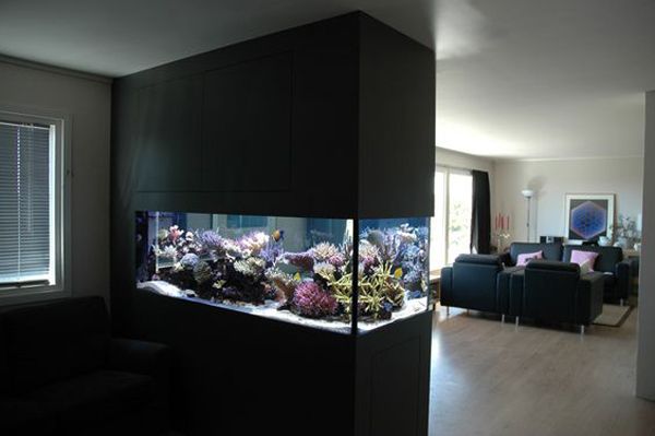 a living room filled with furniture and an aquarium