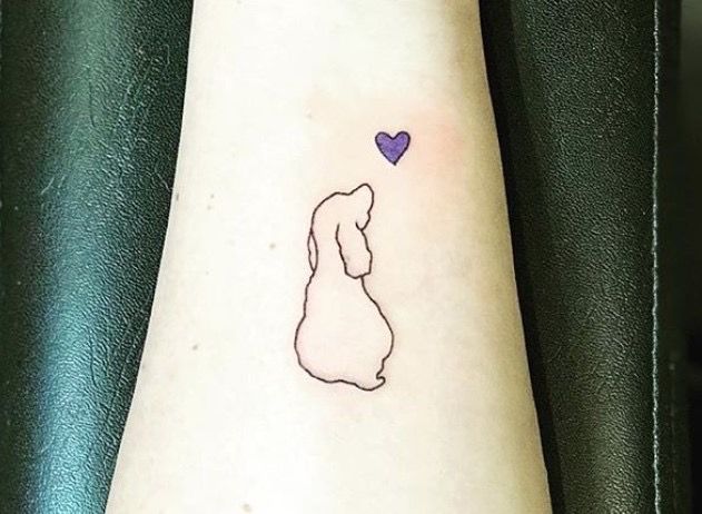 a small dog with a heart tattoo on its arm