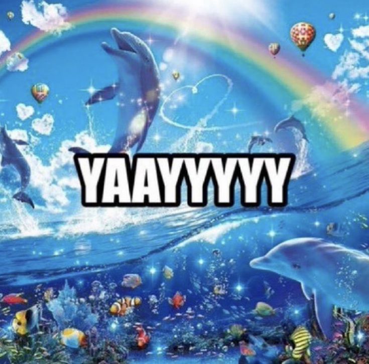 the word yyvyyaay is surrounded by dolphins and other marine creatures in front of a rainbow