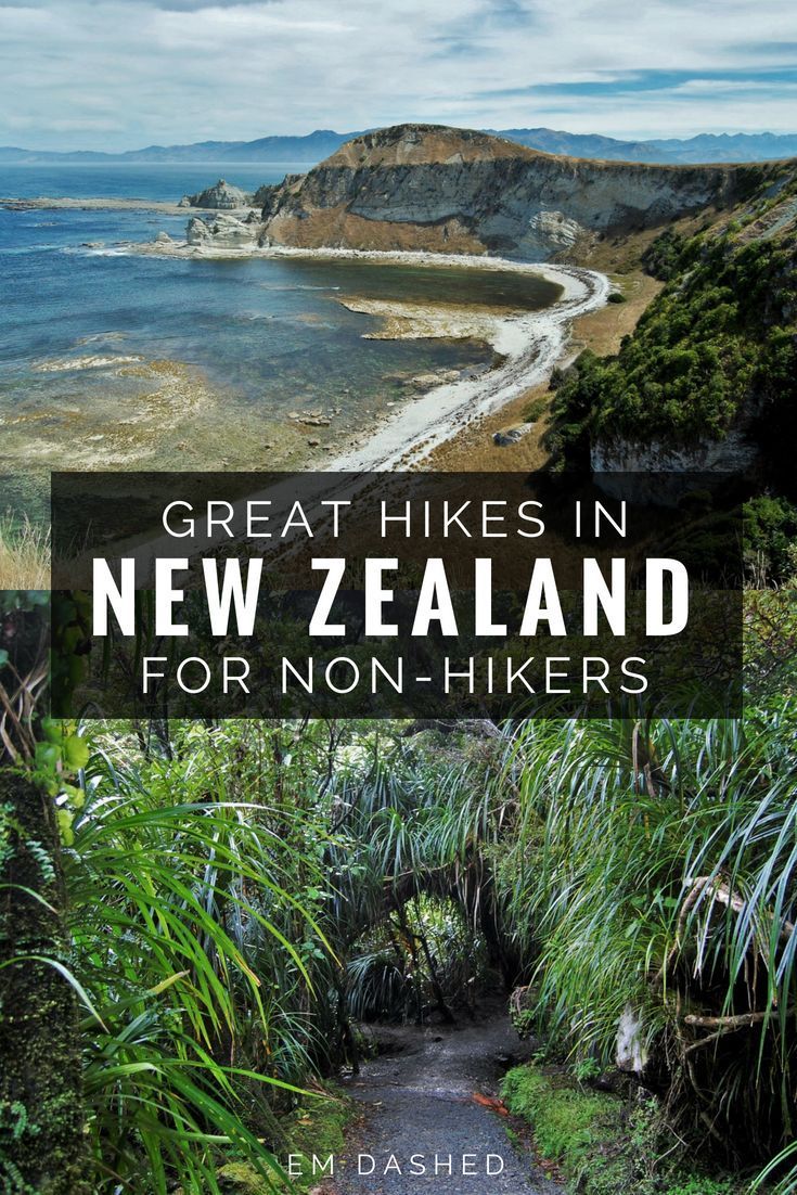 the great hikes in new zealand for non - hikers