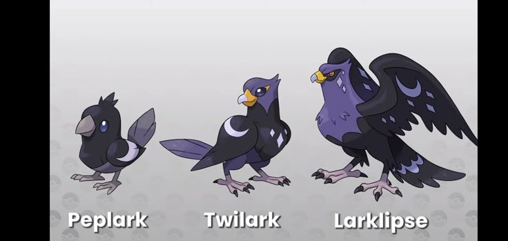 four different types of birds standing next to each other on a gray background with the words peplark, twilight, larkspee