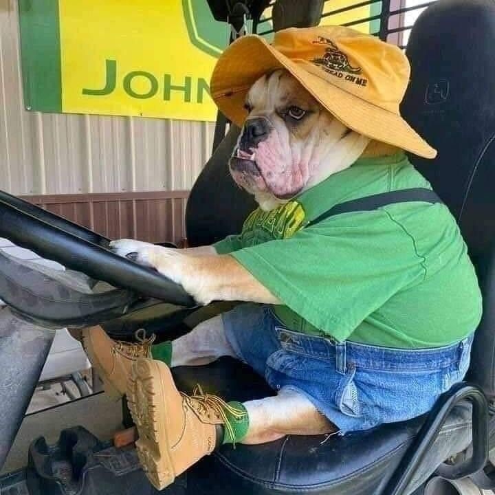 a dog sitting in the driver's seat of a vehicle wearing a hat and overalls