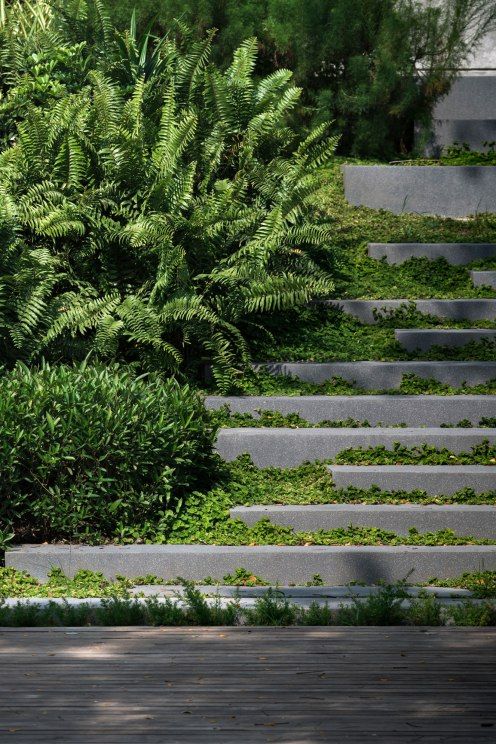 a man riding a skateboard on top of a wooden floor next to a lush green bush