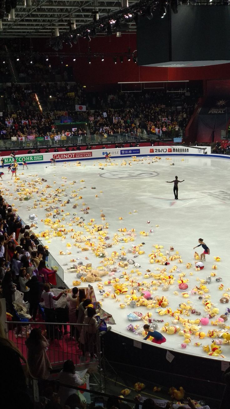 an ice rink filled with lots of stuffed animals and people sitting in the stands watching