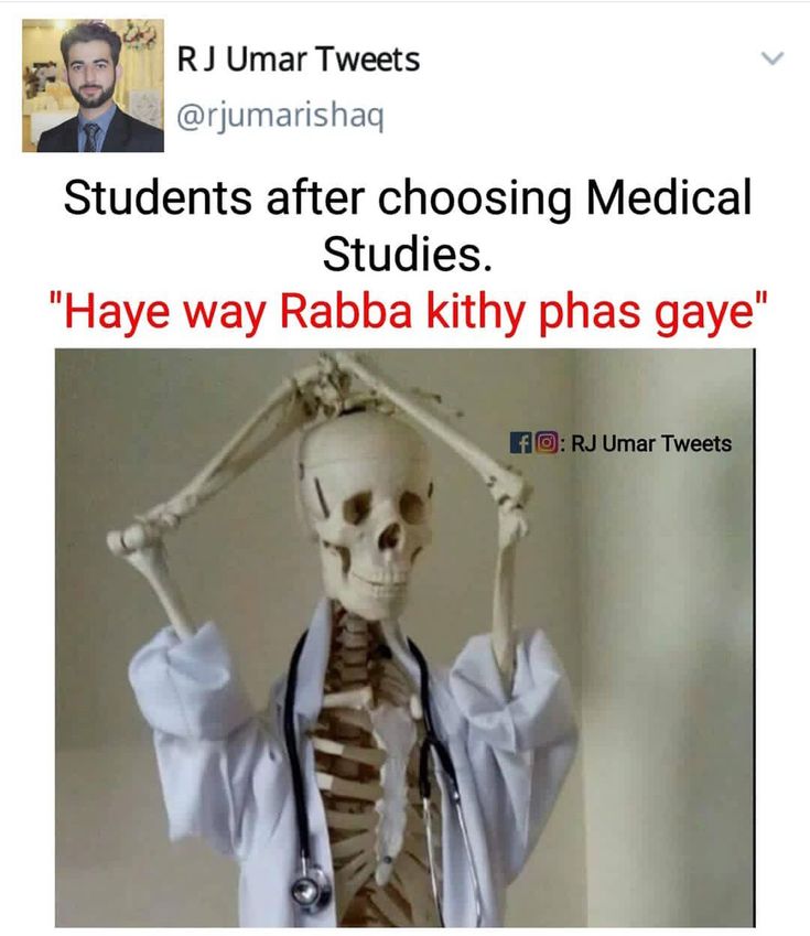 an image of a skeleton with a doctor's hat on top of it and the caption reads students after choosing medical studies have