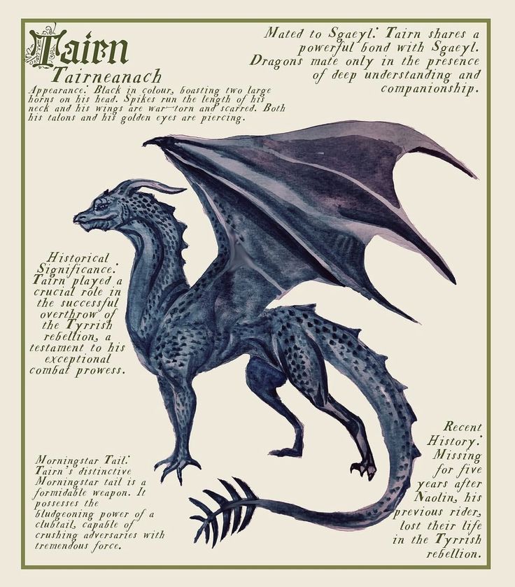 an illustration of a black dragon with wings and tail, on a white paper background