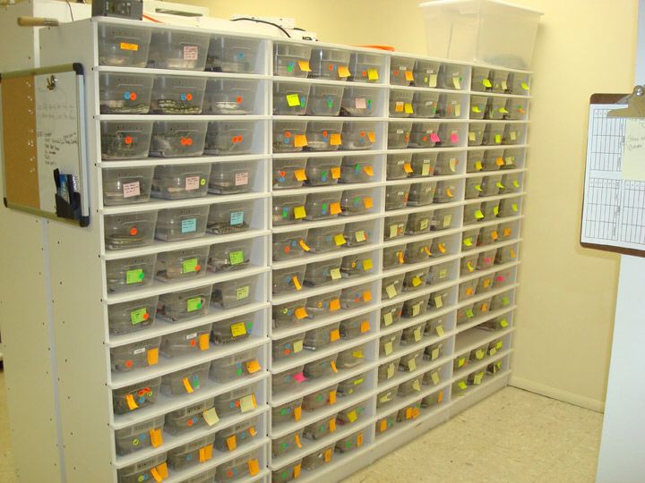 a large wall with many bins filled with notes and sticky notes on the walls