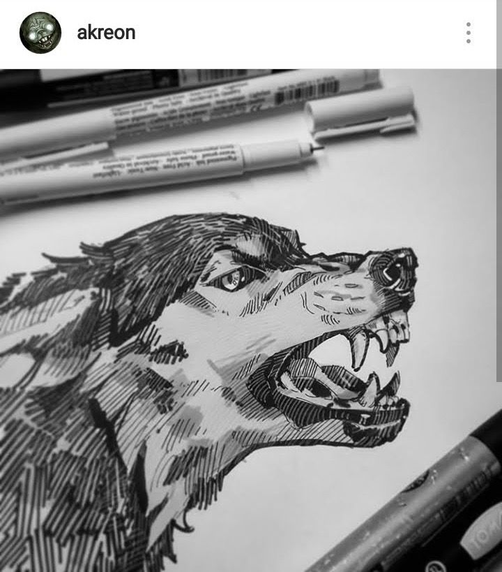 a drawing of a wolf with its mouth open