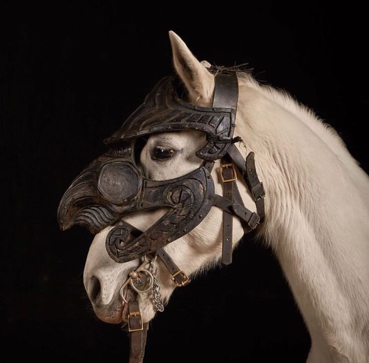 a white horse wearing a leather mask and bridle