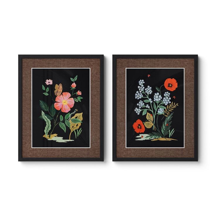 two framed paintings with flowers and leaves on black paper, each one has a brown frame