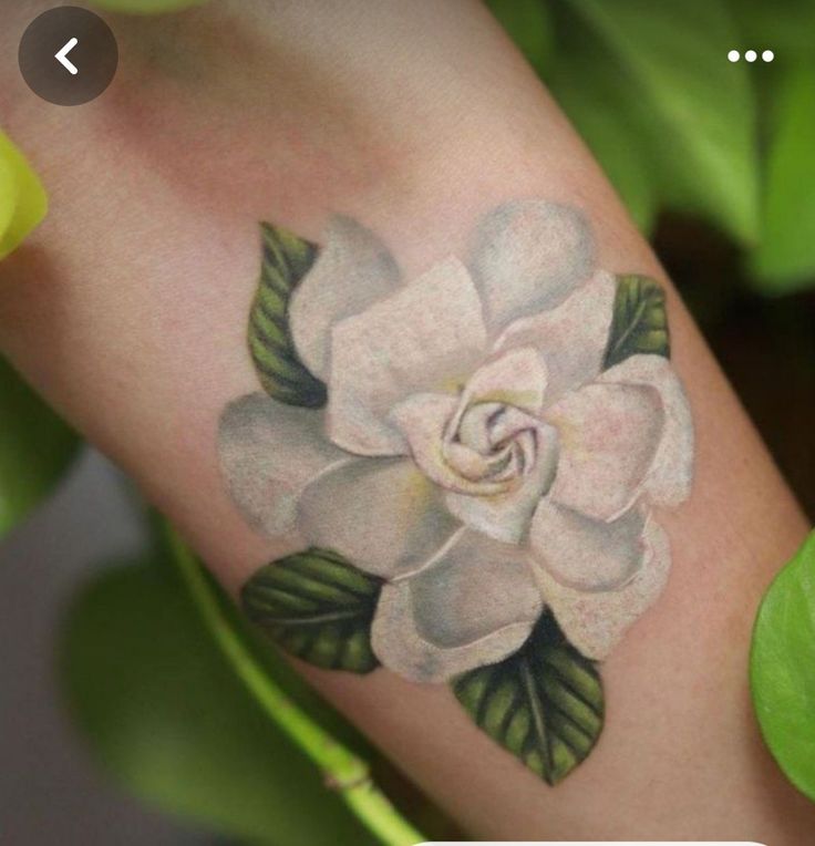 a white flower with green leaves on the arm