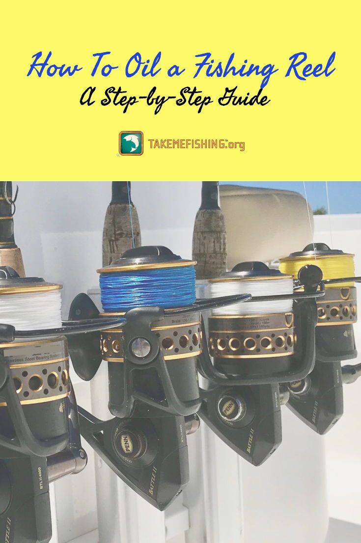 how to oil a fishing reel at step by step guide