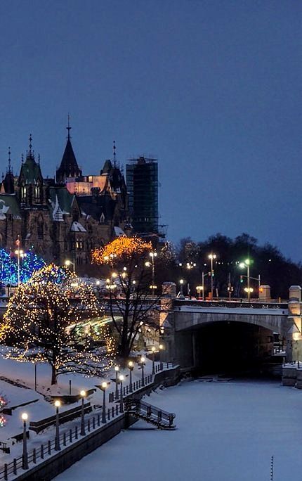 christmas lights are lit up on the trees in front of a large building and bridge