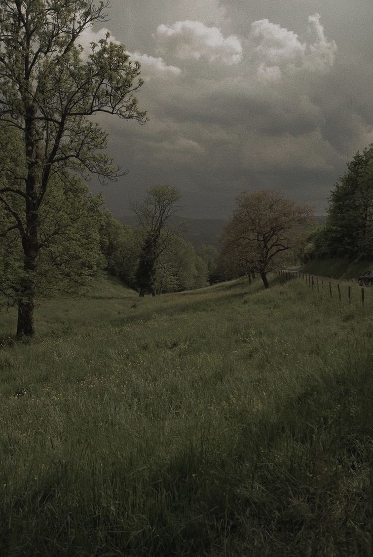 a grassy field with trees and clouds in the background