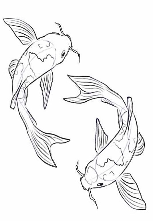 two koi fish swimming in the water coloring pages for adults and kids, with one drawing