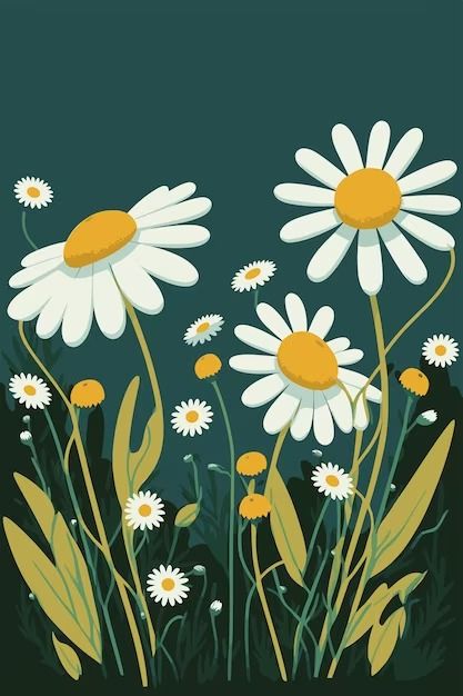 some daisies are in the grass with green leaves and yellow tips on them, against a dark background