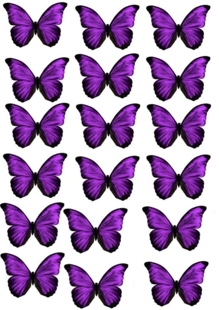 purple butterflies are arranged in rows on a white background, with black edges and the top half