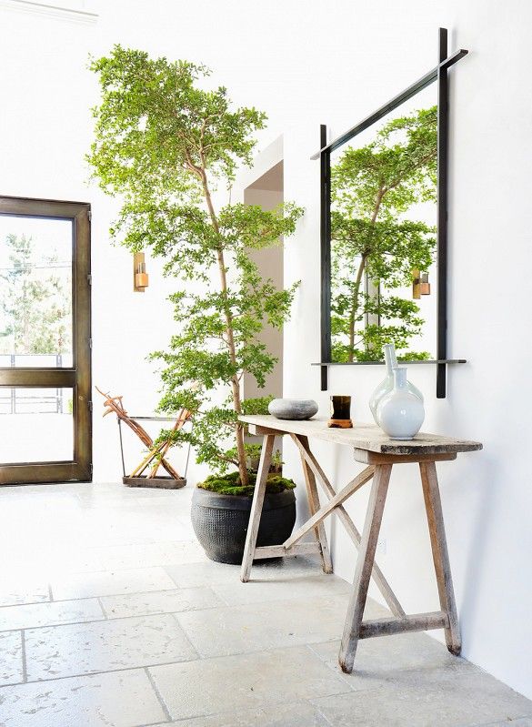 an image of a room with plants in it