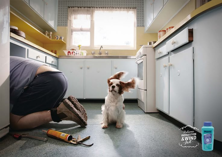 a dog sitting on the floor in a kitchen next to a person holding a wrench