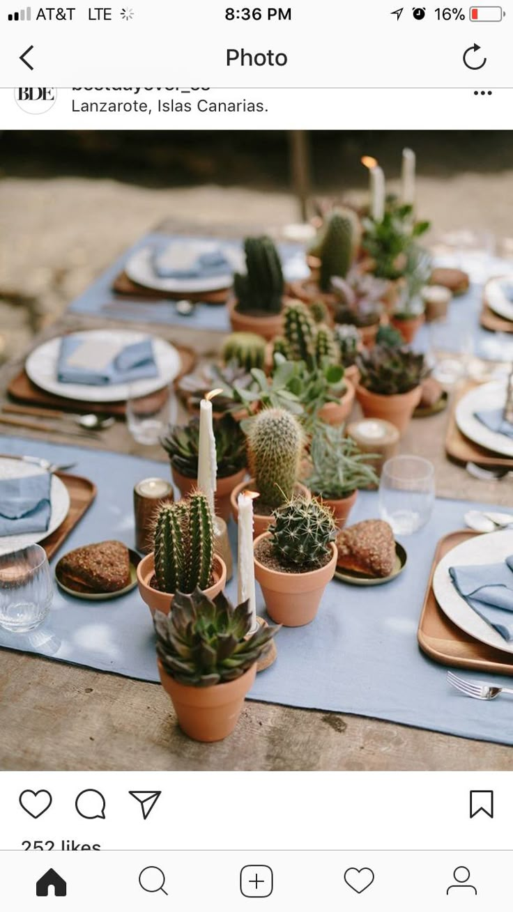 the table is set with succulents and place settings for an outdoor dinner