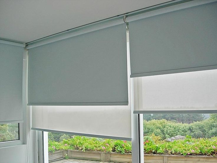 an open window with blinds on the outside and inside, in front of a garden