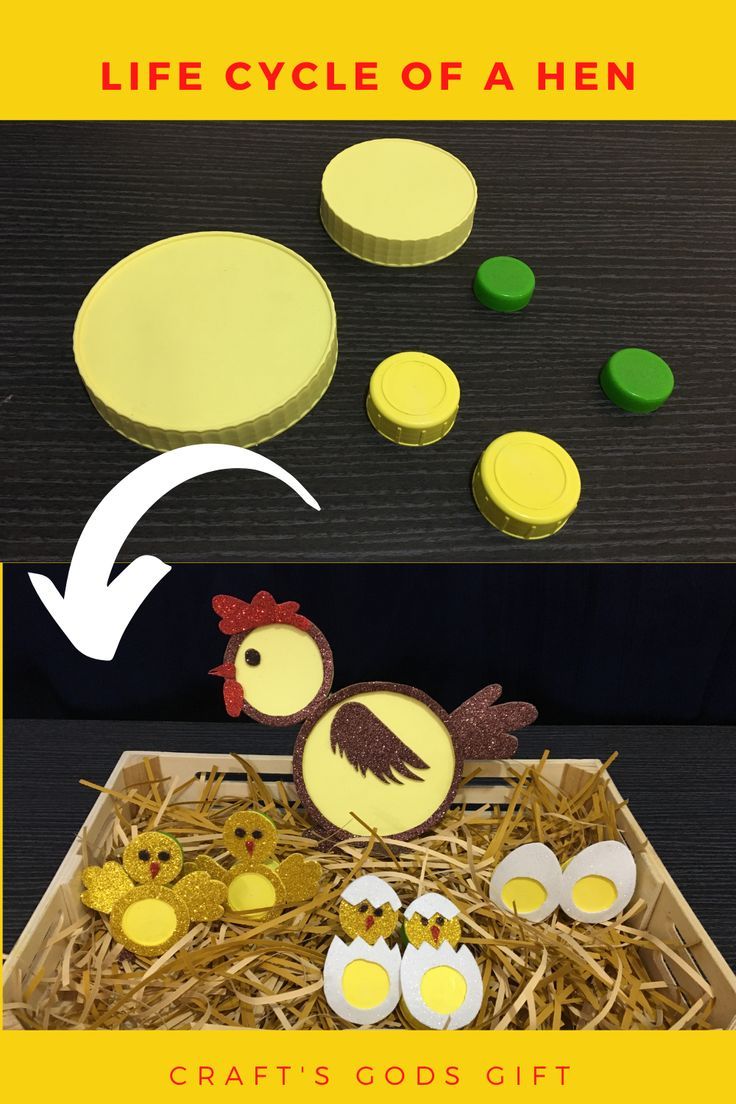 a box filled with eggs and chicken cutouts next to another box full of eggs